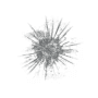 Download Cracked screen