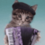 Download Silly Cat