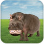 Download Talking Hippo