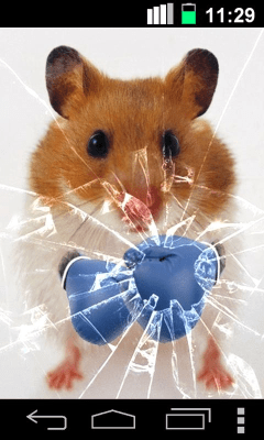 Screenshot of the application Funny Hamster Cracked Screen - #2