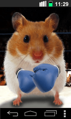 Screenshot of the application Funny Hamster Cracked Screen - #3