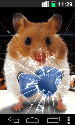 Screenshot of the application Funny Hamster Cracked Screen - #4