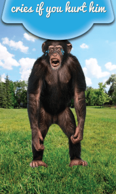 Screenshot of the application Talking Monkey - #4
