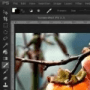 Download PaintSupreme