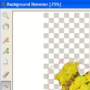 Download Background Remover