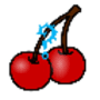 Download Fruit Remember