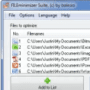 Download FILEminimizer Suite