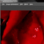 Download PhotoPerfect Express