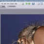 Download Helicon Focus