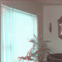 Download Anaglyph Workshop