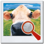 Download Find It MEGA