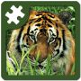 Download Wild animal puzzles