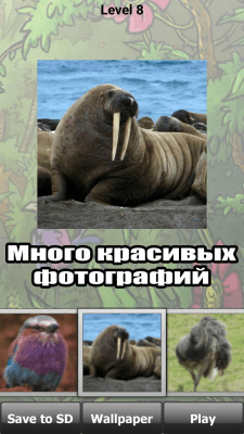 Screenshot of the application Wild animal puzzles - #5