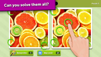Screenshot of the application Guess the Difference - #5