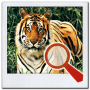 Download Find It 2