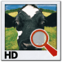 Download Find It HD