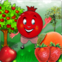 Download Fruit Juicer