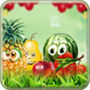 Download Fruit Matcher