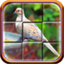 Download Bird Puzzle