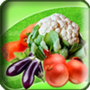 Download Veggie Fun