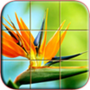Download Nature Puzzle