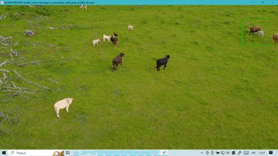Screenshot of the application VideoPlayer - #2