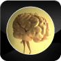 Download Memory Ball