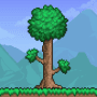 Download Terraria