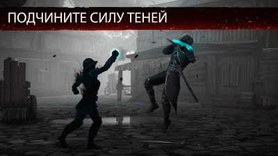 Screenshot of the application Shadow Fight 3 - #3