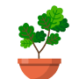 Download Terrarium: Garden Idle