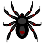 Download Spider Killer