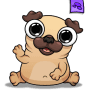 Download Pug - My Virtual Pet Dog