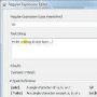 Download Regular Expression Editor by Verych