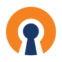 Download OpenVPN Connect