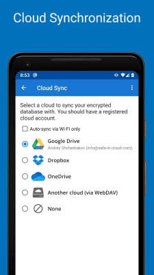 Screenshot of the application SafeInCloud Password Manager - #8