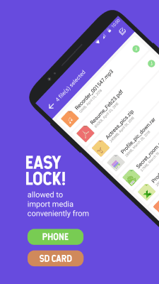 Screenshot of the application File Locker - #3