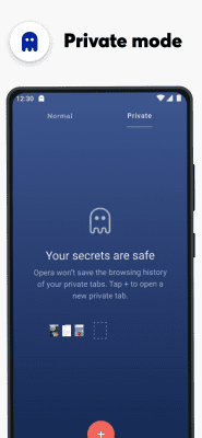 Screenshot of the application Opera browser - #7
