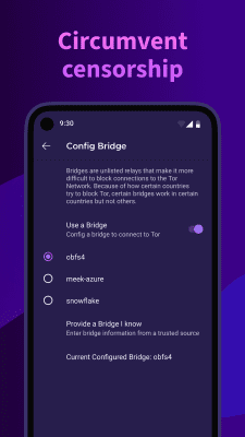 Screenshot of the application Tor Browser - #2