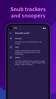 Screenshot of the application Tor Browser - #4