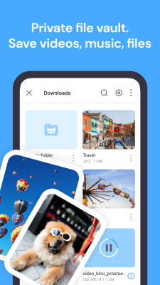 Screenshot of the application Browser Aloha (Beta) - #5