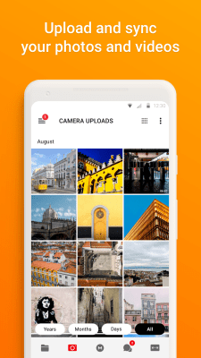Screenshot of the application MEGA - #6