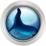 Download Ocean Browser