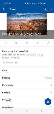 Screenshot of the application HCL Connections - #4