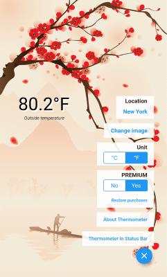 Screenshot of the application Mobiquite Weather Thermometer (free) - #4