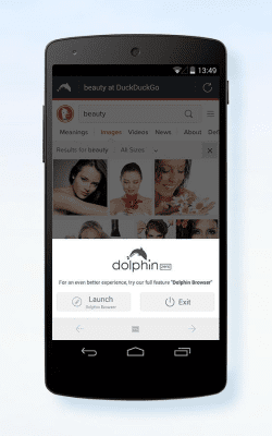 Screenshot of the application Dolphin Zero Incognito Browser - #3
