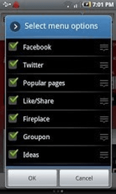 Screenshot of the application Skyfire - #3