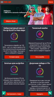 Screenshot of the application Pin Up - #6