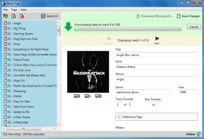 Screenshot of the application Music Tag - #2