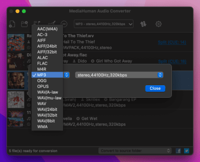 Screenshot of the application MediaHuman Audio Converter - #3