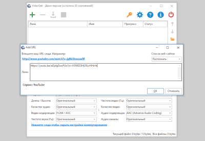 Screenshot of the application VideoGet - #4